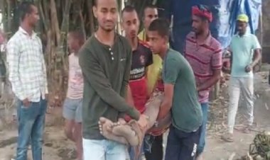 आरा में अपराधियों ने युवक को घर में घुसकर मारी गोली...