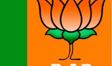 बीजेपी ने राजद से लोकसभा की सदस्यता से मांगा इस्तीफा -राजनीतिक पलटवार जारी ,क्या है पूरा मामला?