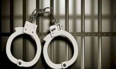 आरा : आवास योजना का दोहरा लाभ लेने के मामले में महिला गिरफ्तार...
