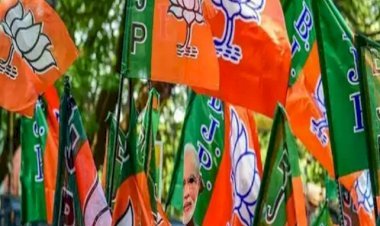 विधानसभा विशेषाधिकार कमिटी में भाजपा ने उठाया लाठीचार्ज का मुद्दा .. क्या है रणनीति ?