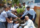 पनोरमा पब्लिक स्कूल के बच्चों ने थाना परिसर में किया वृक्षारोपण, छात्राओ ने पुलिस जवानों की कलाई पर बांधी राखी...