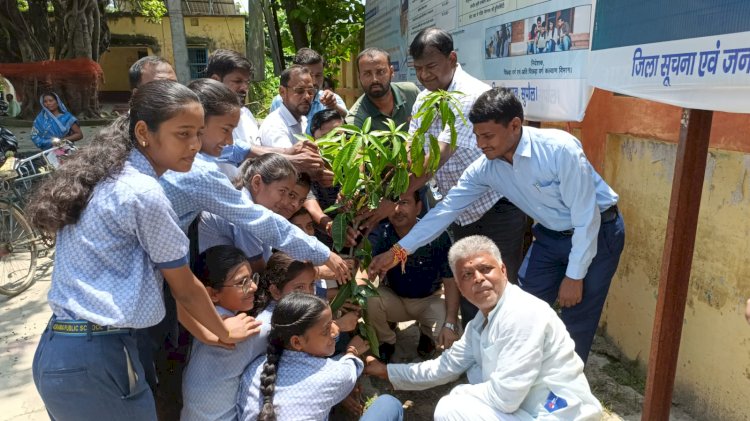 पनोरमा पब्लिक स्कूल के बच्चों ने थाना परिसर में किया वृक्षारोपण, छात्राओ ने पुलिस जवानों की कलाई पर बांधी राखी...