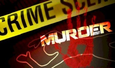 आरा : अपराधियों ने दो भाइयों को मारी गोली, एक की मौत, दूसरा जख्मी...