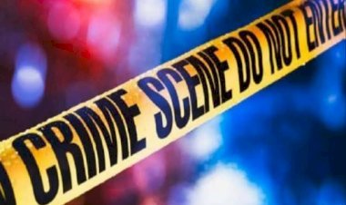 आरा : 'एक के गोली में सांस छोड़ देहलन', हत्या कर आरोपी ने वीडियो जारी की, कहा- बेटे को भी मारूंगा...