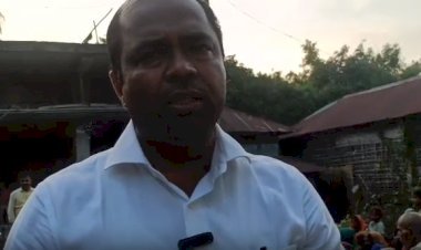 रानी पट्टी नहर के बीचों-बीच सड़क पर विशाल पेड़ दुर्घटना को दे रहा आमंत्रण, वीआईपी नेता संजीव मिश्रा ने उठाया मामला