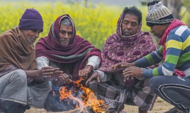 पटना चौथे दिन भी कोल्ड डे की चपेट में, बिहार में अगले 7 दिनों के लिए मौसम विभाग ने जारी किया अलर्ट