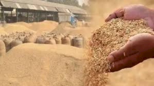 आरा : पैक्स अध्यक्ष की मनमानी से किसान परेशान, सरकारी दर पर नहीं ले रहे धान...