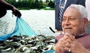 Bihar News: मछली उत्पादन में बिहार की ऐतिहासिक उपलब्धि, 10 साल में 2 गुना बढ़ोतरी, देश में चौथा स्थान