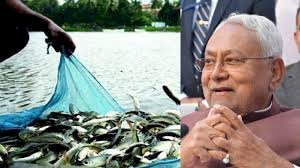 Bihar News: मछली उत्पादन में बिहार की ऐतिहासिक उपलब्धि, 10 साल में 2 गुना बढ़ोतरी, देश में चौथा स्थान