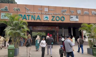राजगीर की दो शेरनियां अब पटना जू में, ऑनलाइन बुकिंग शुरू होने का इंतजार !