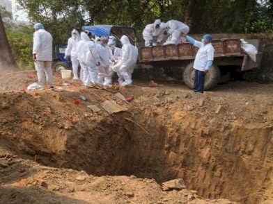 होली से पहले बिहार के इस जिले में 5 हजार मुर्गों की मौत, बर्ड फ्लू की आशंका से दहशत !