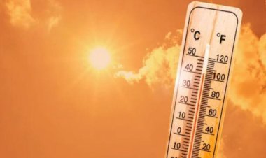 गर्म हवाओं का कहर, होली से पहले बिहार में पारा बढ़ा, ड्राई हीट अलर्ट जारी !